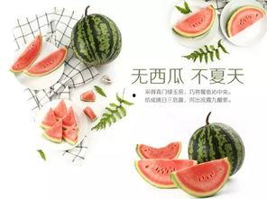 娱乐吃瓜酱文化,揭秘明星幕后故事与粉丝狂欢盛宴